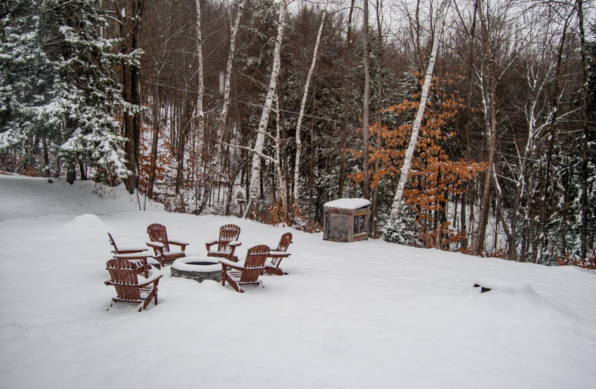 Birch House: Cozy Cabin 5 Min From Okemo لودلو المظهر الخارجي الصورة